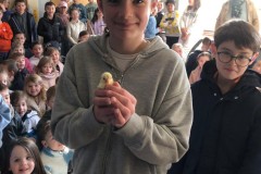 IMG-20260326-WA00070000